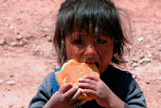 Recuperación nutricional para niños de una región alto andina